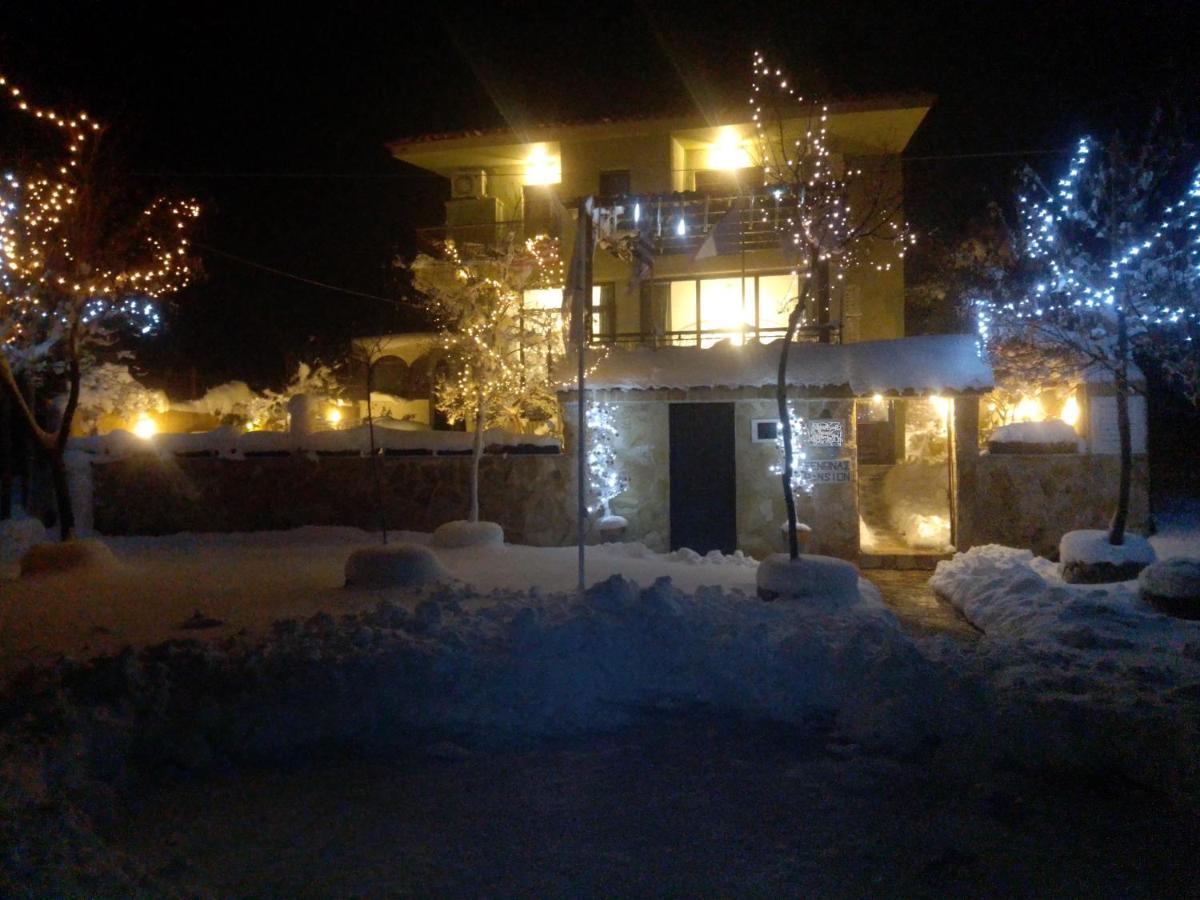 Xenonas Κithαiron Hotel Vília Eksteriør billede