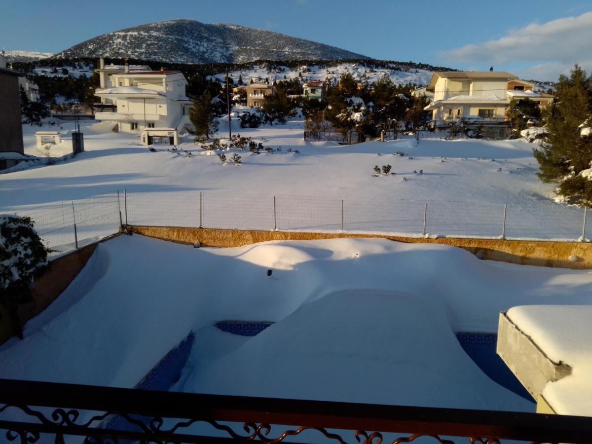 Xenonas Κithαiron Hotel Vília Eksteriør billede